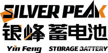 好汉郓城 银峰集团南中国区能源产业园区的创新崛起与互联网销售转型