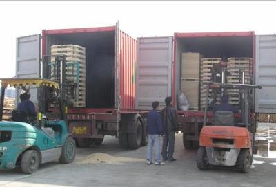 山东济南滨州至江门新会开平内贸海运集装箱物流服务详解